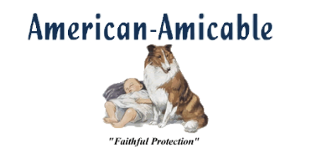 American-Amicable logo